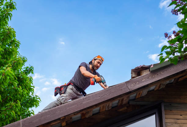 Best Roof Repair  in Lexington, IL
