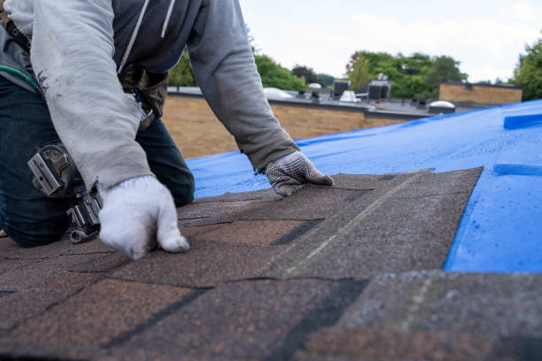 Best Rubber Roofing (EPDM, TPO)  in Lexington, IL