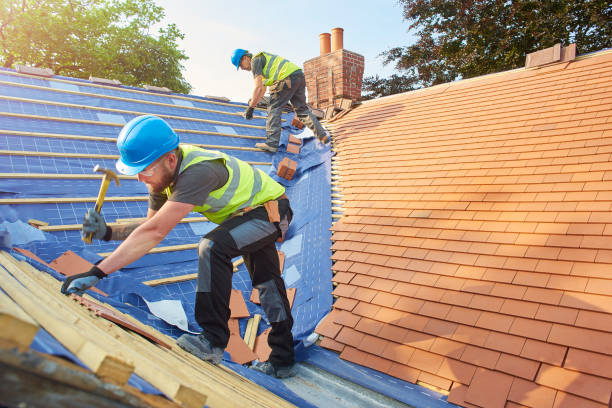 Best Roof Insulation Installation  in Lexington, IL